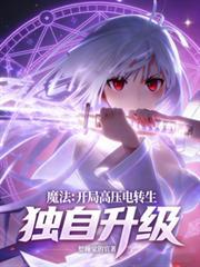 官途：一个小痞子，升官坐电梯